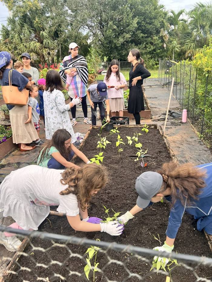 The garden at DIG