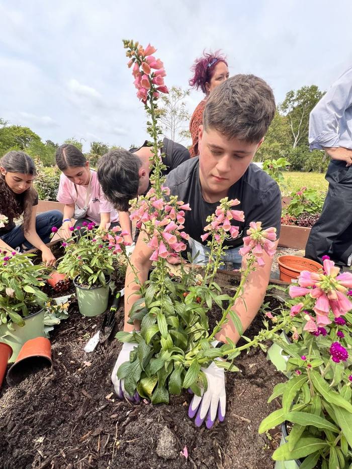 The garden at DIG