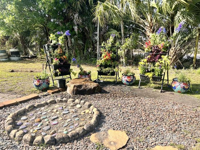 The garden at DIG