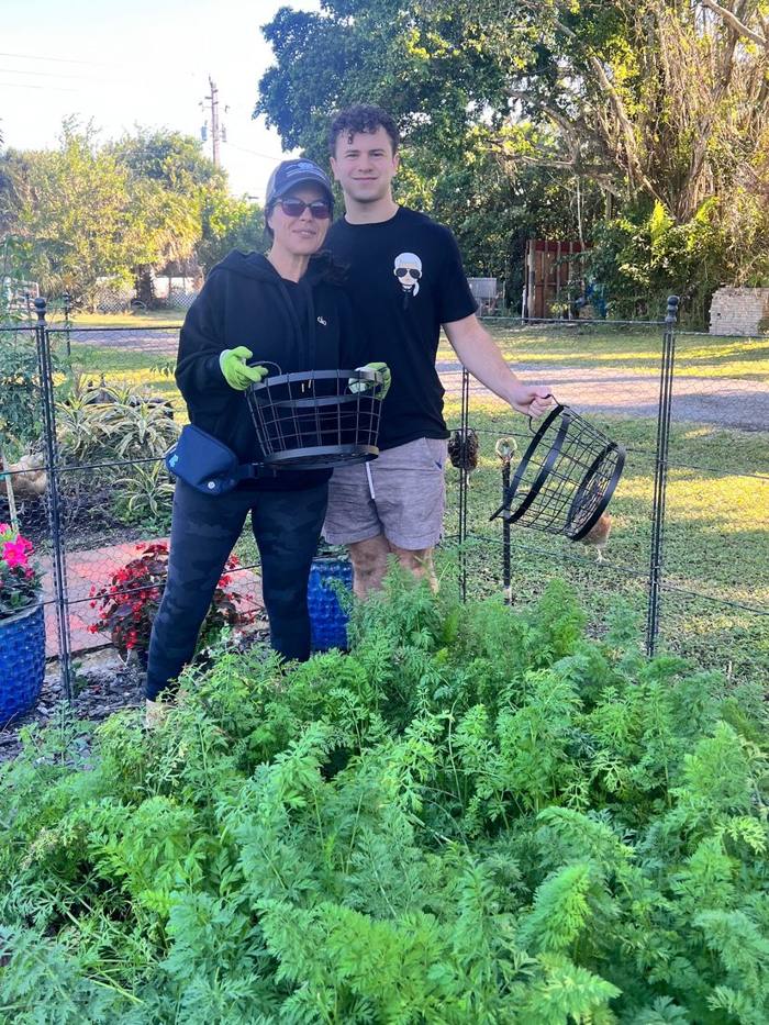 The garden at DIG