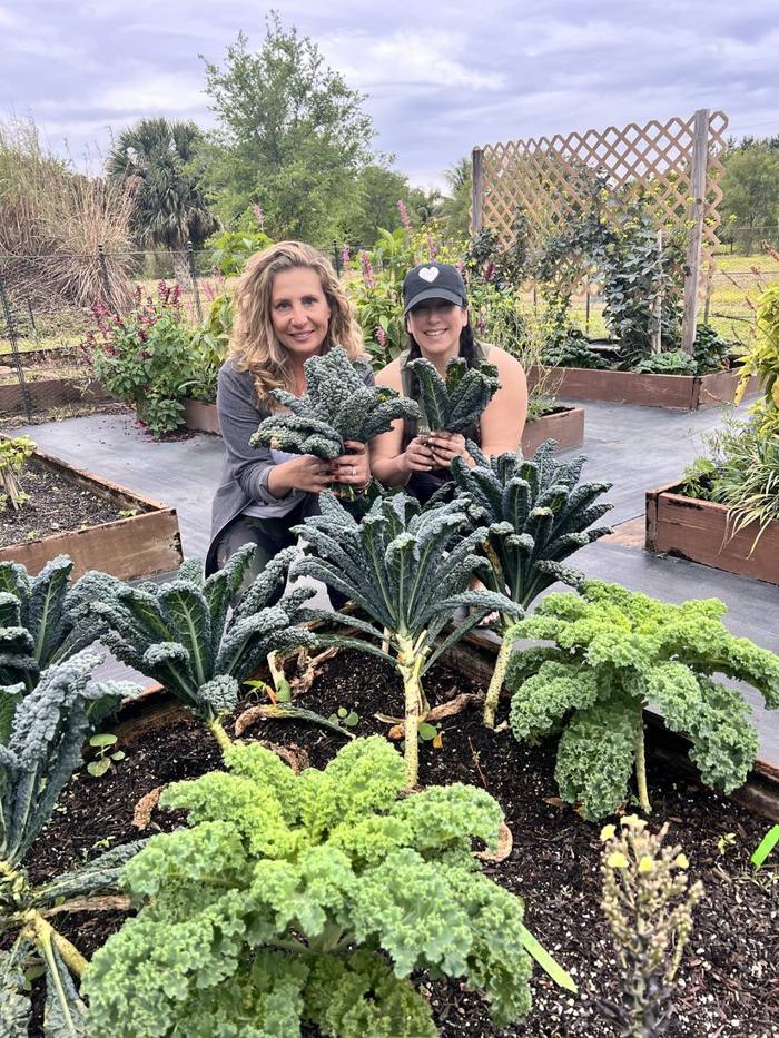 The garden at DIG