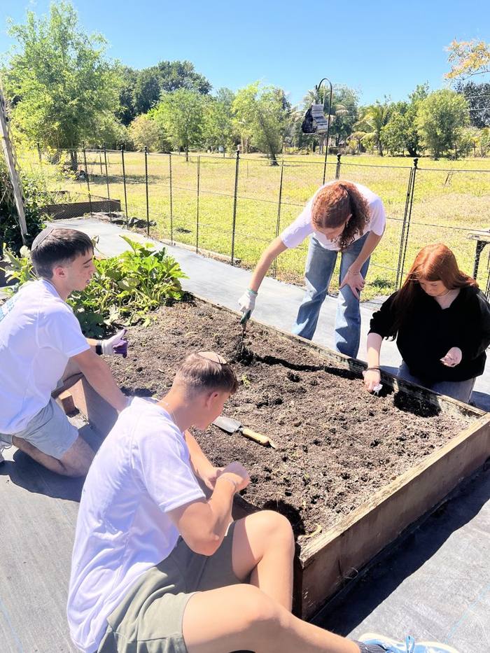The garden at DIG