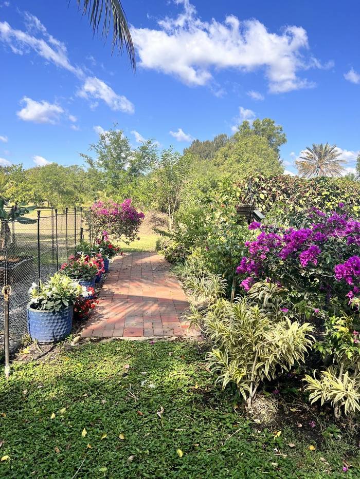 The garden at DIG