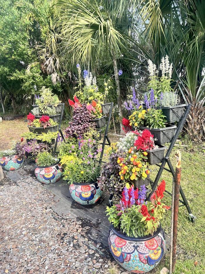 The garden at DIG