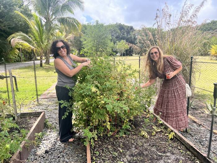 The garden at DIG